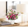 Hollyone Artificial Plants & Flowers in Vase Red Roses Small