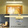 RAIFOOLLY Picture Light, 20in Battery Operated Picture Lights for Paintings,Metal