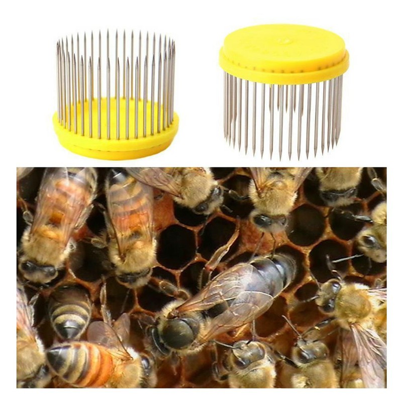 Ximimark 3Pcs Beekeeping Queen Needle Type Bee Cage Stainless Steel