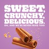 Pure Protein Cinnamon Sugar Popped Crisps - 12g Plant Based