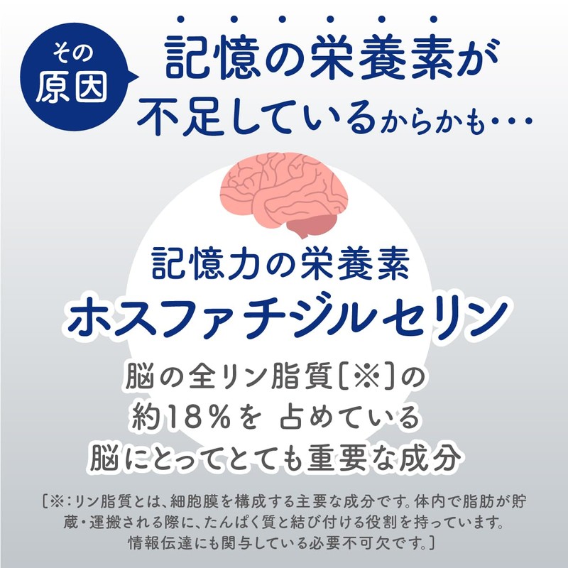 メモいらず 脳の栄養素 記憶力 物忘れ オールインワンサプリメント 【イチョウ葉 120mg/日】【ホスファチジルセリン 30mg/日】【DHA 105mg/日】【EPA 10mg/日】【フェルラ酸