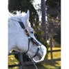 Thinline Flexible Filly Slow Feed Grazing Muzzle - Clear PVC,