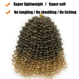 ENBEAUTIFUL 14 Inch 8 Packs Curly Crochet Hair Beach Curl Water Wave Crochet Hair Deep Wave Wavy Braids Curly Crochet Hair For Black Women(14inch, 8packs, T27)