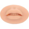 10 Labios de Práctica, Modelo de Boca Abierta de Silicona