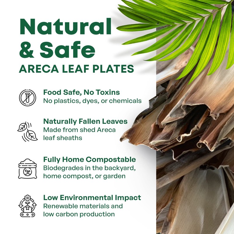 DISPOSABLE GREEN – Round Disposable Plates, Areca Leaf Serving Plates,