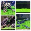 YIZIMONA Aquarium Plant S.e,e,ds. not Fish Tank Aritificial Plastic Plant,10gram