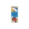 Plasticine Sea Creatures Modelling Kit