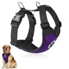 SlowTon Dog Harness for Dogs, No Pull Safety Harness, Small