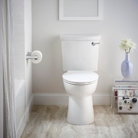 American Standard 5055A65C.020 Vormax Contemporary Elongated Toilet Seat with TriVantage, White
