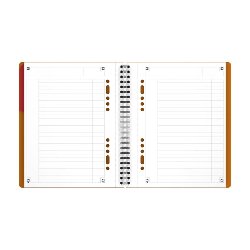 Oxford International Activebook