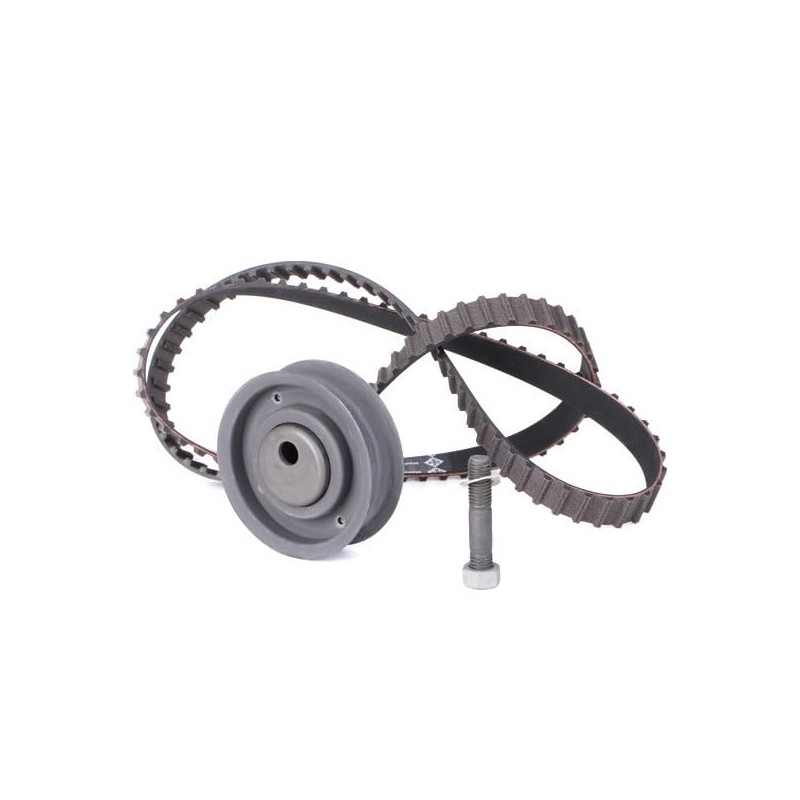 INA 530 0149 10 Timing Belt Set