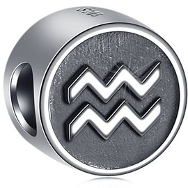 GLOWDAS Zodiac Charms Fit European Birthday Bracelet, Antique 925 Sterling Silver 12 Constellation Charm Beads, Gifts for Family/Lover/Friends, Sterling Silver, No Gemstone