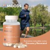 Moods | Multivitamínico Natural - Adaptógeno Melena de León y