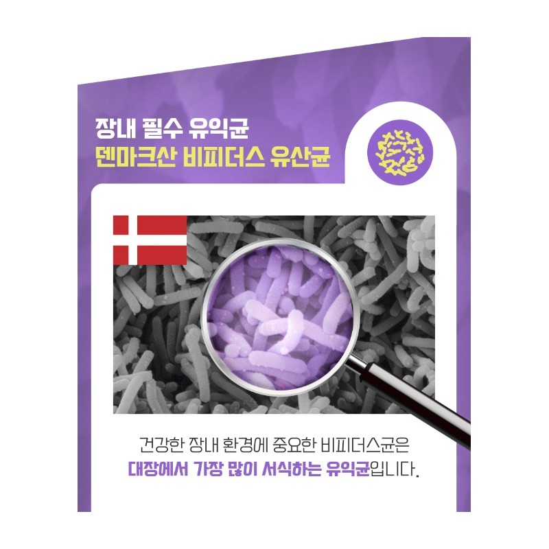Bifidus colon lactic acid bacteria, good for the intestines, 2