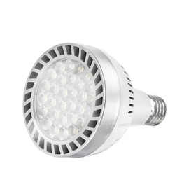 Led Pool Light Bulb 120V 50W Daylight White 6000K Swimming Pool 5000LM E27/E26 Pool Light Bulb Replacement for Most Pentair Hayward Light Fixtures (Pool 50W)