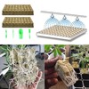 LONGHAO 50 + 4 x Wool Plant Stoppers, Rock Wool