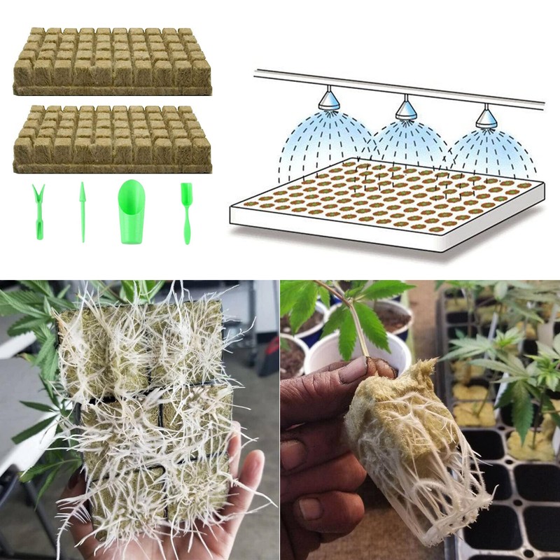 LONGHAO 50 + 4 x Wool Plant Stoppers, Rock Wool