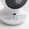 IRIS USA WOOZOO Air Circulator Fan with Remote, Oscillation, 3