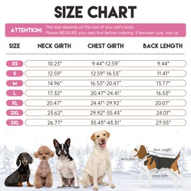 BRKURLEG Dog Winter Jacket Warm Dog Coats for Small and Medium Large Dogs Reflective Adjustable Dog Cold Weather Coats Waterproof Windproof Dog Snow Jacket Clothes Dog Fleece Vest (XS, Rose Red)