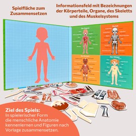 MAGNIKON Magnetic Educational Game about the Human Body for Children from 3 Years, Human Body Game, Children's Motor Skills Toy with Large Playing Field for Employment on the Car, Gift