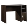 Scranton & Co Transitional Wood Home Office Desk in Cinnamon
