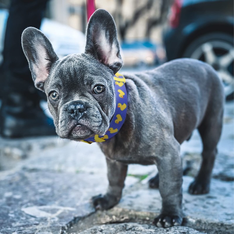HDE Nylon Dog Collar Adjustable Soft Puppy Collars for Small