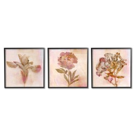 Stupell Industries Vintage Dried Pink Flowers Flattened Florals, Design by Judy Stalus Black Framed Wall Art, 12 x 12
