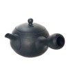 Landscape.com Tokoname Ware Small Teapot, Sera Mesh, Black Mud, 6.1