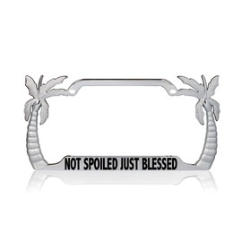 Custom Brother - NOT SPOILED JUST BLESSED Christianity Religious Jesus Palm Tree Metal Chrome License Plate Frame, License Tag Holder