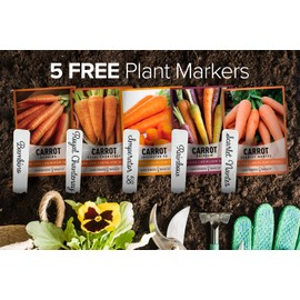 Gardeners Basics, Carrot Seeds for Planting Home Garden - 5 Variety Pack Rainbow, Imperator 58, Scarlet Nantes, Bambino and Royal Chantenay Great for Spring, Summer, Fall, Heirloom Carrot Seeds