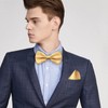 Medsuo Adjustable Bowtie, Men BowtiePre-Tied Bow Tie for Parties (Champagne)