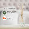 Barr-Co. Fir & Grapefruit Scent Diffuser Kit, Bright Grapefruit &