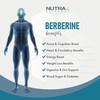 Berberine Supplement (98% Purity) Advanced Berberine High Strength 500mg, 60
