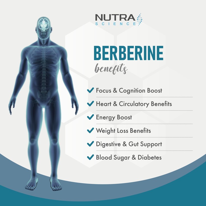 Berberine Supplement (98% Purity) Advanced Berberine High Strength 500mg, 60