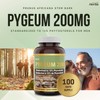 Herba Pygeum Supplement 200mg – 100 Capsules | Standardized to
