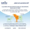 Kabrita Formula de Leche de cabra Etapa 1 Infantil 0