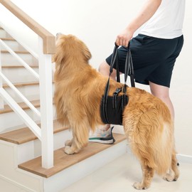 Avont Dog Carrying Aid - Dog Loop for Large Dogs Hind Leg Support, Lifting Aid with Handle and Strap for Hip Dysplasia, Canines Lifter Support Harness for Elderly Dogs - Black M