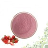 Strawberry Concentrate Powder 100g Sample