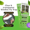 Fly Trap Indoor or Outdoor Usage | Window Fly Traps