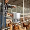 KOL Hanging Chicken Feeder – 20lbs Metal Chicken Feeder, Adjustable