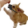Small Dog Muzzle Durable Nylon Dog Training Muzzle Anti Bark