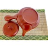 Japanese Kyusu tokoname Clay Teapot 10.8 fl.oz. Takeharu Red Clay