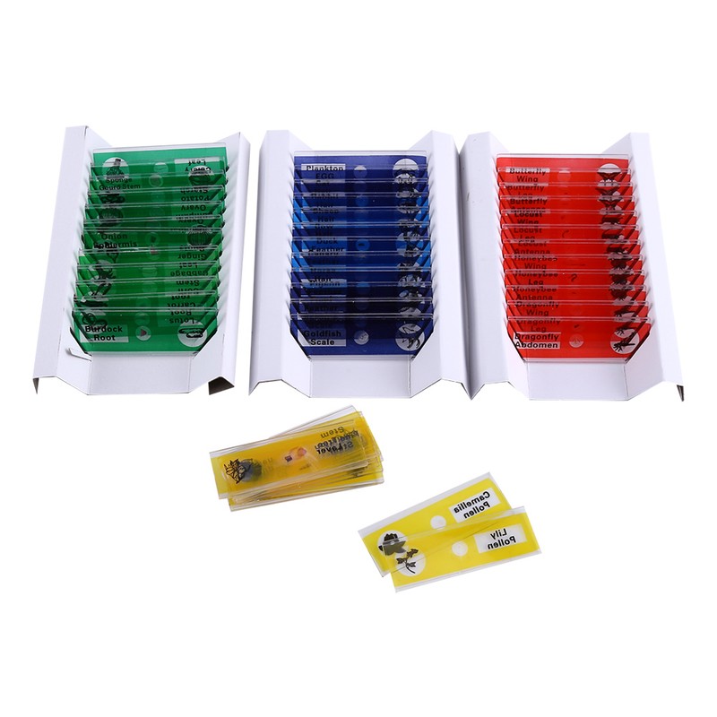 A Set Plastic Prepared Microscope Slides Animals Insects Plants Flowers