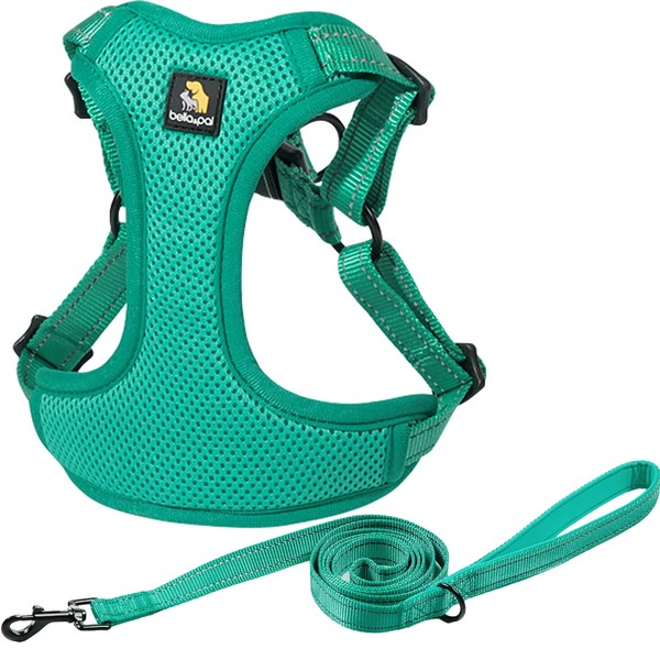 BELLA & PAL Dog Harness with Leash Set, Adjustable Step-in