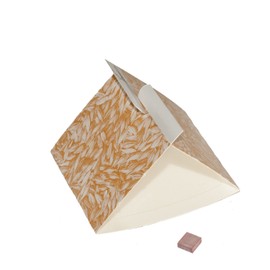 MaxLure Food/Kitchen Moth Trap pack of 3