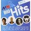 Mnm Big Hits 2011/2