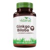 Ginkgo Biloba 90 Capsulas Vidanat Sabor Ninguno