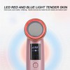 Ion Skin Rejuvenation Machine EMS MicroCurrent RF Face Care Machine