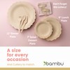 Bambu, Disposable Bamboo Fancy Plates 9 Inch, Organic, Biodegradable and