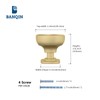 Banqin Cabinet Knobs Kitchen Drawer Knob, 10Pack Gold Square Solid